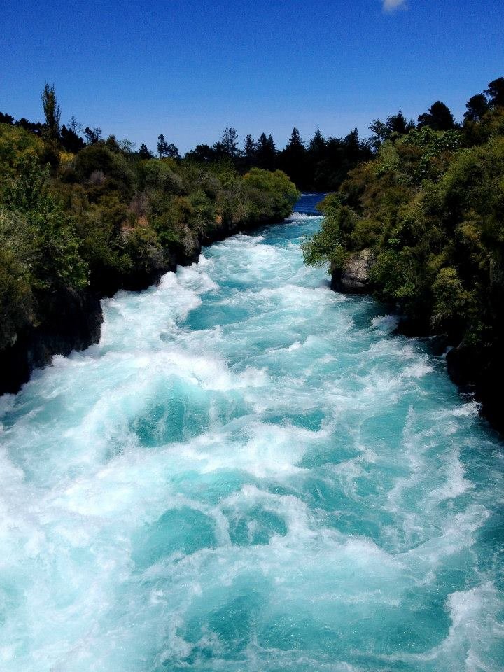 Rotorua Geothermal Geysers